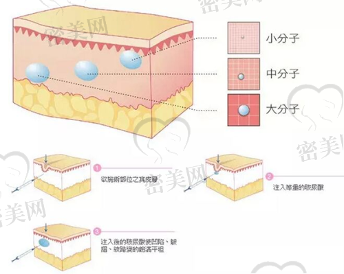 梁帮荣医生擅长项目：