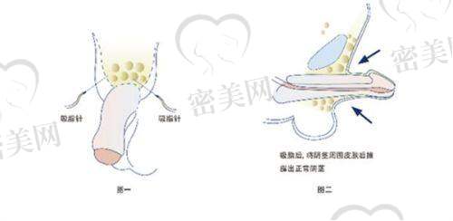张志宇医生荣誉资质：
