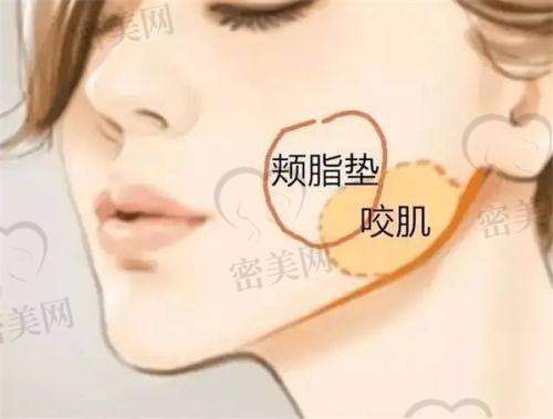 广州薇琳医疗美容医院简介：