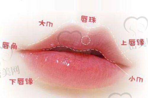 袁丽华医生擅长项目：