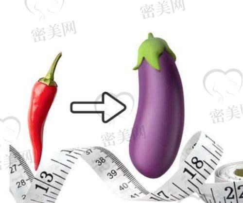 袁丽华医生荣誉资质：