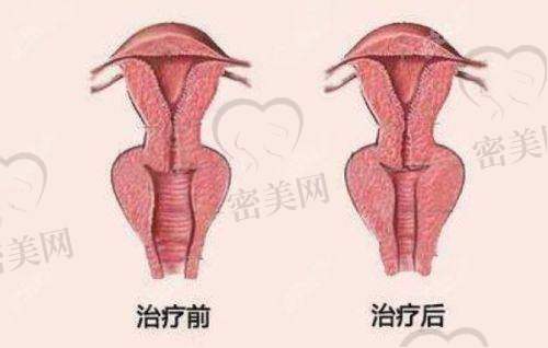 马磊医生荣誉资质：