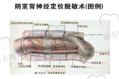 刘超医生口碑怎么样？