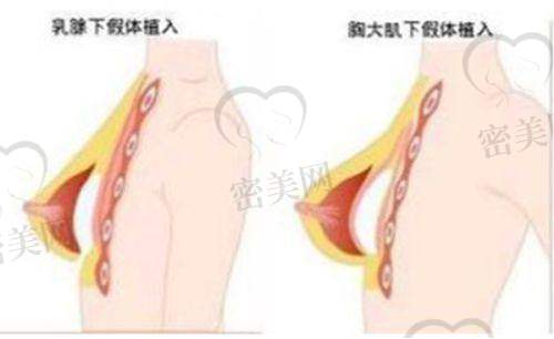 顾陆健医生怎么预约挂号？