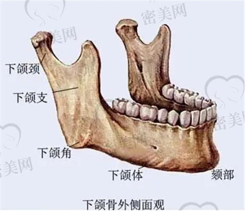 卜双燕医生怎么预约挂号？
