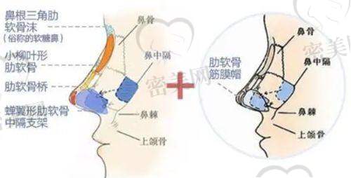 舒鹏医生技术特点：
