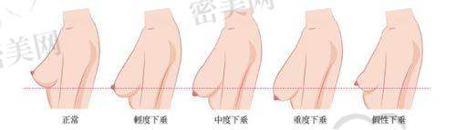 周福田医生怎么预约挂号？