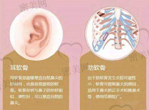 顾陆健医生荣誉资质：