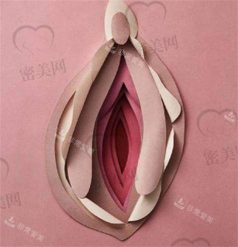 合肥紧缩针热门医院排行榜一览