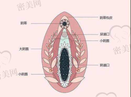 合肥竹一医疗美容医院：打造“个性私密之美”
