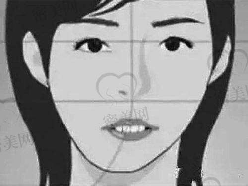 核心团队与理念