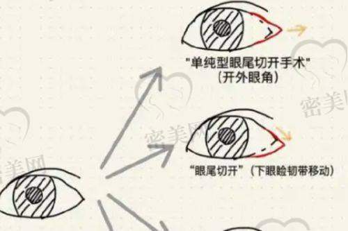 钟沐晴医生怎么预约挂号？