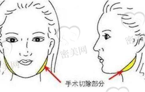 门诊部的服务特色