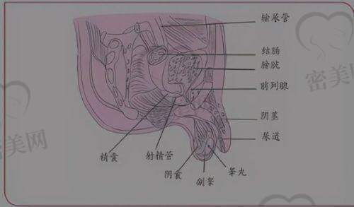 重庆晶肤2025年玻尿酸价目表