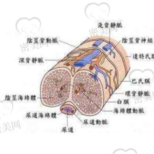 特色项目之眼鼻整形