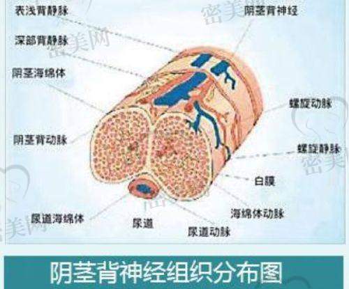 各分院地址信息