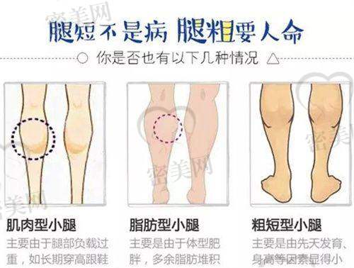 收费情况