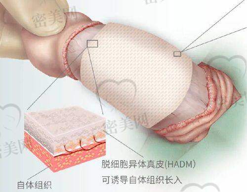 医生团队介绍