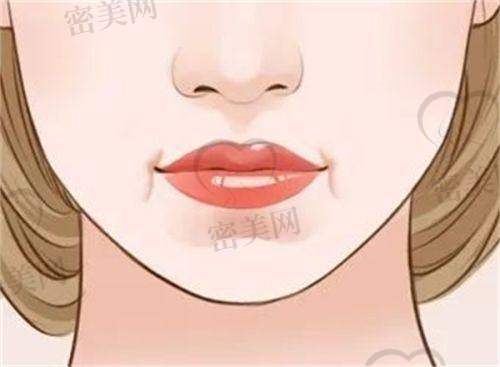 医生团队情况