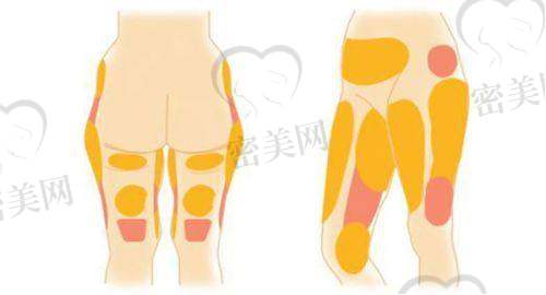 顾客口碑：服务体验获好评