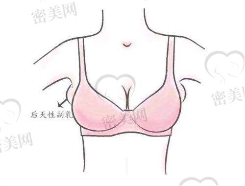 成都其他植发机构情况对比