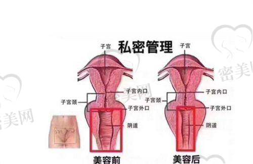 郑州东方医疗美容：眼修复领域的技术先锋