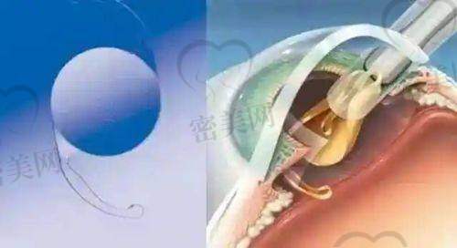 顾客真实评价
