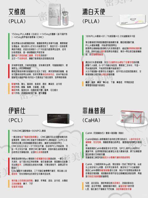 学术交流与发展