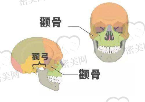其他眼部整形项目