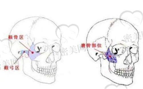 来院路线指南