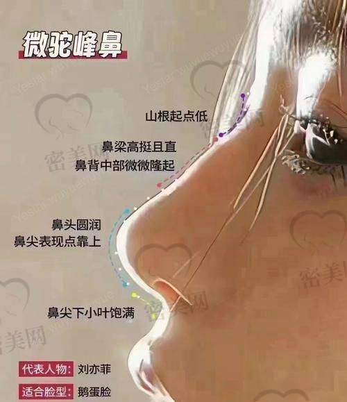 上海叶丽萍医生收费标准如何？
