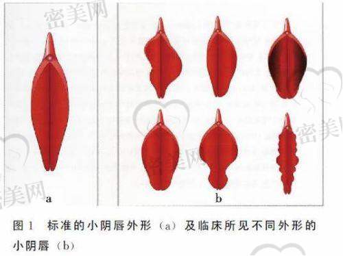 西安画美医疗美容医院：技术设备双强，专科医生实力派