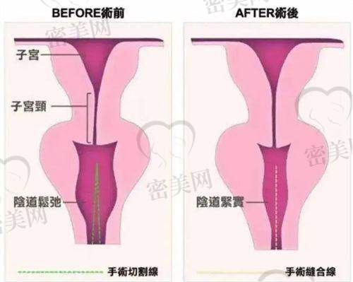 徐淑卿医生荣誉资质：