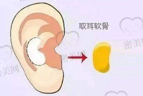 谭立文医生擅长项目
