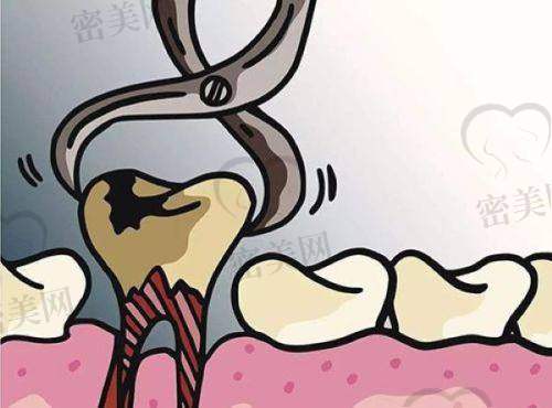 就诊环境舒适，服务体验不输高端牙科