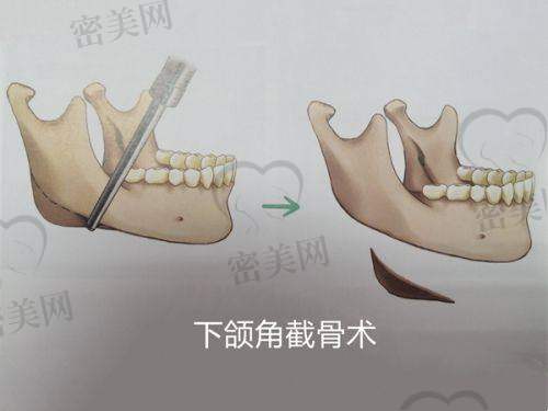 杨勋医生执业信息：