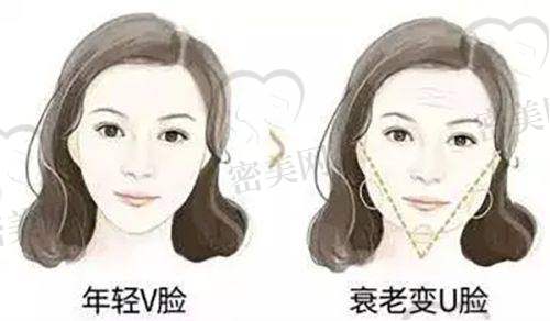 谭立文医生荣誉资质