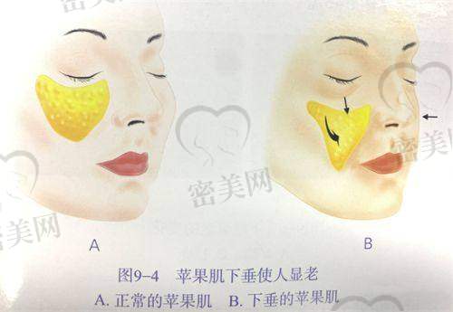 曹镜焕医生荣誉资质：
