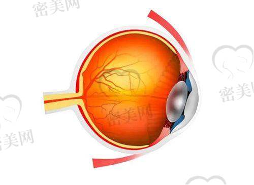 广州视百年眼科服务体验佳,贴心服务让手术放心又省心