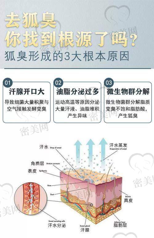 上海伯思立整形顾建成微波腋臭：神奇技术优势多
