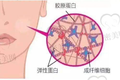 张占召医生怎么预约挂号？