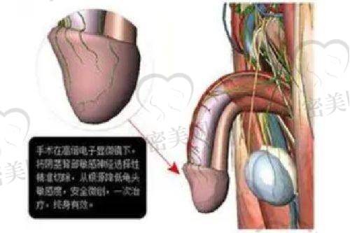 排名第六：东莞韩美美容医院