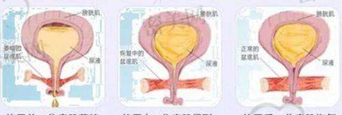 张占召医生执业信息：