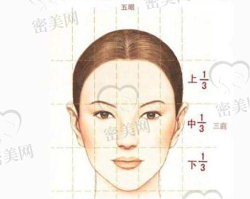 卢正义医生荣誉资质：