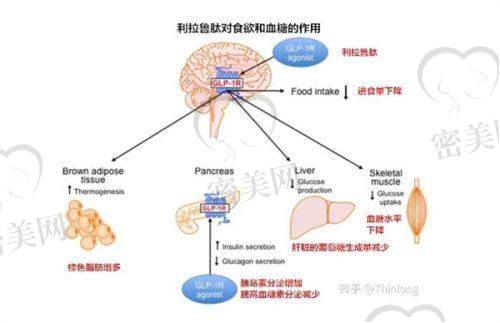 西安艺星医疗美容医院：时尚潮流的变得更美圣地