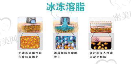 王荣堂医生荣誉资质：