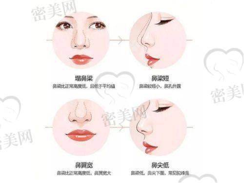赵辑医生荣誉资质：