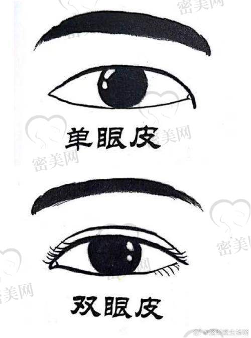 上海侣同帅医生口碑咋样？