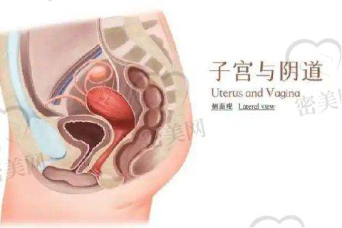 蒋小花医生口碑怎么样？