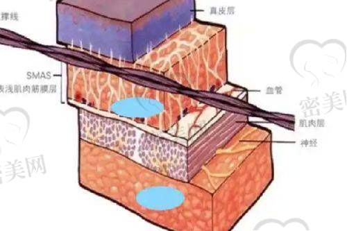 金凡颖医生怎么预约挂号？